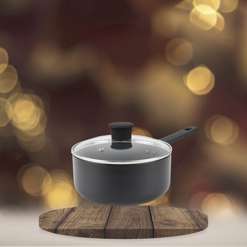 20cm Saucepan